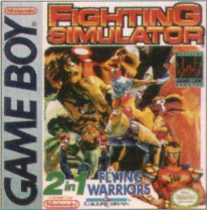  Fighting Simulator: 2-in-1 Flying Warriors (1992). Нажмите, чтобы увеличить.