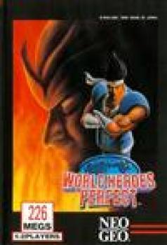  World Heroes Perfect (1995). Нажмите, чтобы увеличить.