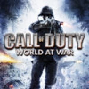  Call of Duty: World at War (2009). Нажмите, чтобы увеличить.