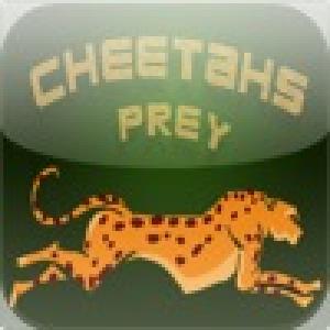  Cheetahs Prey (2010). Нажмите, чтобы увеличить.