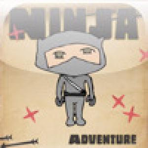  Ninja (2009). Нажмите, чтобы увеличить.