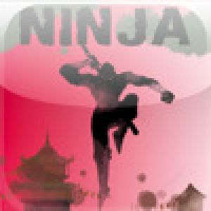 Ninja Shadow (2009). Нажмите, чтобы увеличить.