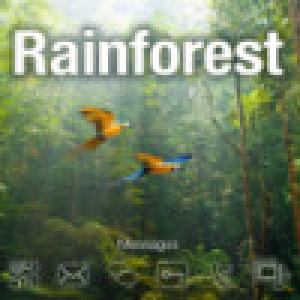  Rainforest (2009). Нажмите, чтобы увеличить.
