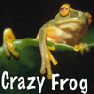  Crazy Frog (2010). Нажмите, чтобы увеличить.