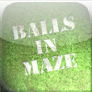  Balls in Maze (2009). Нажмите, чтобы увеличить.