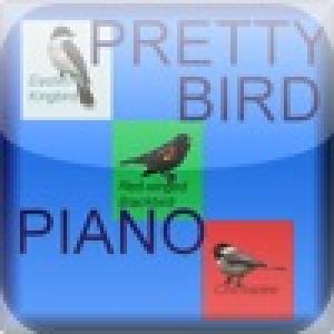  Pretty Bird Piano (2010). Нажмите, чтобы увеличить.
