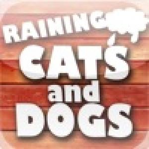  Raining Cats & Dogs (2010). Нажмите, чтобы увеличить.