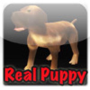  Real Puppy 3D (2009). Нажмите, чтобы увеличить.