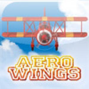  Aero Wings (2009). Нажмите, чтобы увеличить.
