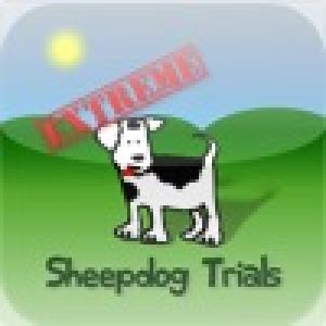  Extreme Sheepdog Trials (2010). Нажмите, чтобы увеличить.