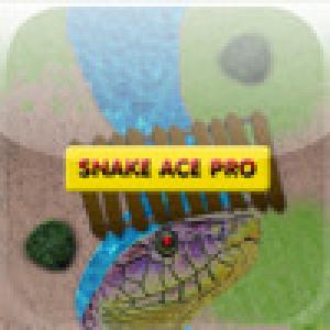  Snake Ace Pro (2009). Нажмите, чтобы увеличить.