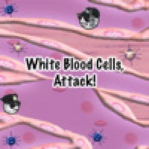  White Blood Cells, Attack! (2009). Нажмите, чтобы увеличить.