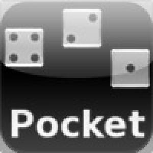  421 Pocket (2010). Нажмите, чтобы увеличить.