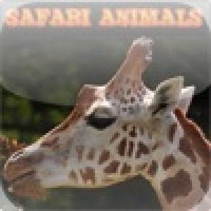  Find Safari Animals (2010). Нажмите, чтобы увеличить.