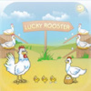  Lucky Rooster (2009). Нажмите, чтобы увеличить.