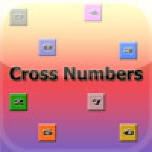 Cross Number (2008). Нажмите, чтобы увеличить.