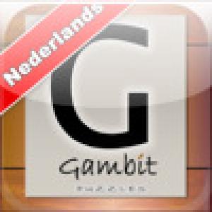  Gambit Puzzles - Nederlandse Taal Dutch Puzzle Games (2009). Нажмите, чтобы увеличить.
