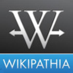  Brain Cafe | Wikipathia ,. Нажмите, чтобы увеличить.