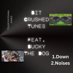 Bit Crushed Tunes feat. Bucky - Single. Передняя обложка. Нажмите, чтобы увеличить. Bit Crushed Tunes feat. Bucky - Single. Передняя обложка. Нажмите, чтобы увеличить.