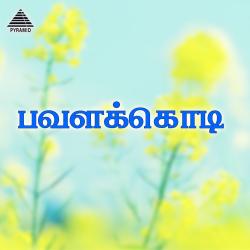 Pavalakkodi Original Motion Picture Soundtrack. Передняя обложка. Нажмите, чтобы увеличить. Pavalakkodi Original Motion Picture Soundtrack. Передняя обложка. Нажмите, чтобы увеличить.