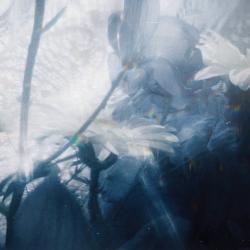 Beautiful Sonata To You Too .. Передняя обложка. Нажмите, чтобы увеличить. Beautiful Sonata To You Too .. Передняя обложка. Нажмите, чтобы увеличить.