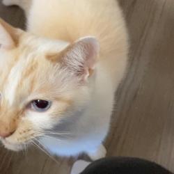 Dance of Despair feat. HATSUNE MIKU - Single. Передняя обложка. Нажмите, чтобы увеличить. Dance of Despair feat. HATSUNE MIKU - Single. Передняя обложка. Нажмите, чтобы увеличить.