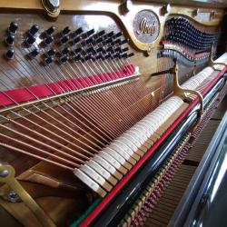 Waves of upcoming Transience Possible Soundtrack - Single. Передняя обложка. Нажмите, чтобы увеличить. Waves of upcoming Transience Possible Soundtrack - Single. Передняя обложка. Нажмите, чтобы увеличить.