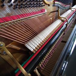 Inspiring Aging possible Soundtrack - Single. Передняя обложка. Нажмите, чтобы увеличить. Inspiring Aging possible Soundtrack - Single. Передняя обложка. Нажмите, чтобы увеличить.