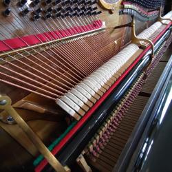 Hopeful Classical Tragedy possible soundtrack - Single. Передняя обложка. Нажмите, чтобы увеличить. Hopeful Classical Tragedy possible soundtrack - Single. Передняя обложка. Нажмите, чтобы увеличить.