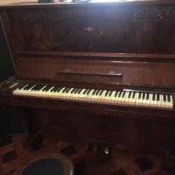 Trinos. Передняя обложка. Нажмите, чтобы увеличить. Trinos. Передняя обложка. Нажмите, чтобы увеличить.