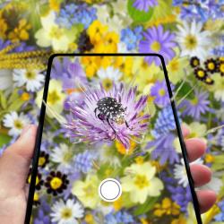 Still Flowing Despite It All - Single. Передняя обложка. Нажмите, чтобы увеличить. Still Flowing Despite It All - Single. Передняя обложка. Нажмите, чтобы увеличить.