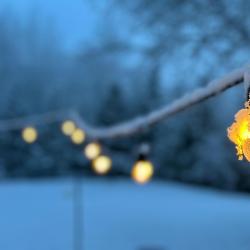 Snowy Apricity Concept Theme - Single. Передняя обложка. Нажмите, чтобы увеличить. Snowy Apricity Concept Theme - Single. Передняя обложка. Нажмите, чтобы увеличить.