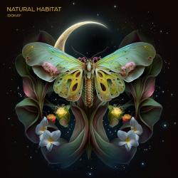 Natural Habitat - Single. Передняя обложка. Нажмите, чтобы увеличить. Natural Habitat - Single. Передняя обложка. Нажмите, чтобы увеличить.