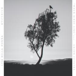 Mysterium When Birds Sing Remix feat. Lisa Bella Donna - Single. Передняя обложка. Нажмите, чтобы увеличить. Mysterium When Birds Sing Remix feat. Lisa Bella Donna - Single. Передняя обложка. Нажмите, чтобы увеличить.