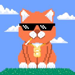 Conflict 1.0 - Single. Передняя обложка. Нажмите, чтобы увеличить. Conflict 1.0 - Single. Передняя обложка. Нажмите, чтобы увеличить.