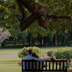 Bloom - Single. Передняя обложка. Нажмите, чтобы увеличить. Bloom - Single. Передняя обложка. Нажмите, чтобы увеличить.