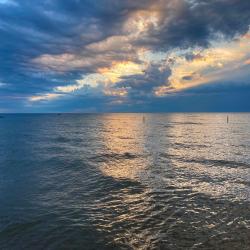 Dust Collectors Vol:. Передняя обложка. Нажмите, чтобы увеличить. Dust Collectors Vol:. Передняя обложка. Нажмите, чтобы увеличить.