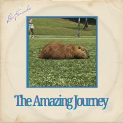 The Amazing Journey. Передняя обложка. Нажмите, чтобы увеличить. The Amazing Journey. Передняя обложка. Нажмите, чтобы увеличить.