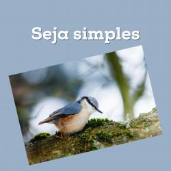 Seja Simples - Single. Передняя обложка. Нажмите, чтобы увеличить. Seja Simples - Single. Передняя обложка. Нажмите, чтобы увеличить.