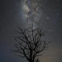 COSMOS: An Audiovisual Exploration Rescoring Study - Single. Передняя обложка. Нажмите, чтобы увеличить.