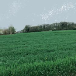 Muse - Single. Передняя обложка. Нажмите, чтобы увеличить.