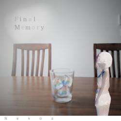 Final Memory - Single. Передняя обложка. Нажмите, чтобы увеличить.