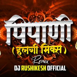 Pipani Halgi Mix DJ Rushikesh - Single. Передняя обложка. Нажмите, чтобы увеличить.