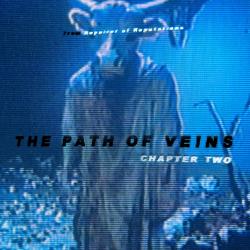 The Path of Veins, Pt. 2 Original Video Game Soundtrack. Передняя обложка. Нажмите, чтобы увеличить.