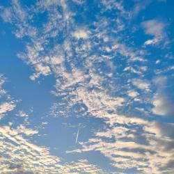 Cinematic Echoes - Single. Передняя обложка. Нажмите, чтобы увеличить.