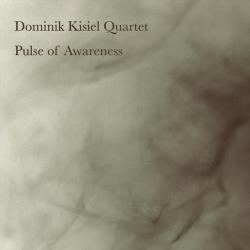 Pulse of Awareness. Передняя обложка. Нажмите, чтобы увеличить.