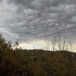 Chuyito - Single. Передняя обложка. Нажмите, чтобы увеличить.