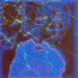 Please Come Again feat. Kaai Yuki - Single. Передняя обложка. Нажмите, чтобы увеличить.