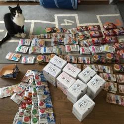 Glad I'm Free - Single. Передняя обложка. Нажмите, чтобы увеличить.