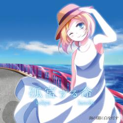 Live in the Palace of Loneliness. Передняя обложка. Нажмите, чтобы увеличить.